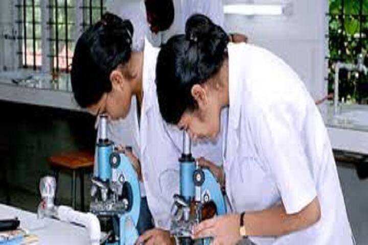 RCC College of Pharmacy campus in Basti, Uttar Pradesh, India — photo 4