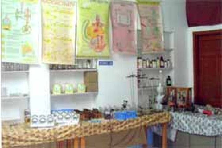 Meera Mahila B Ed College campus in Chittorgarh, Rajasthan, India — photo 5