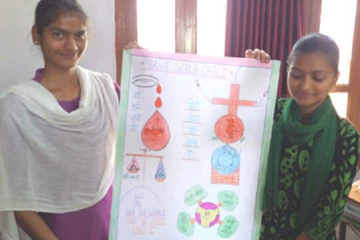 Rana Pratap Mahila Teachers Training College campus in Bhinder, Rajasthan, India — photo 4
