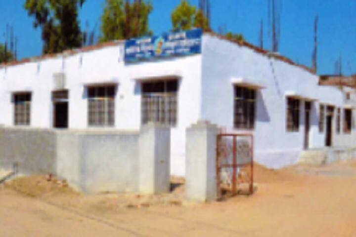 Rana Pratap Physical Teachers Training College campus in Bhinder, Rajasthan, India — photo 1