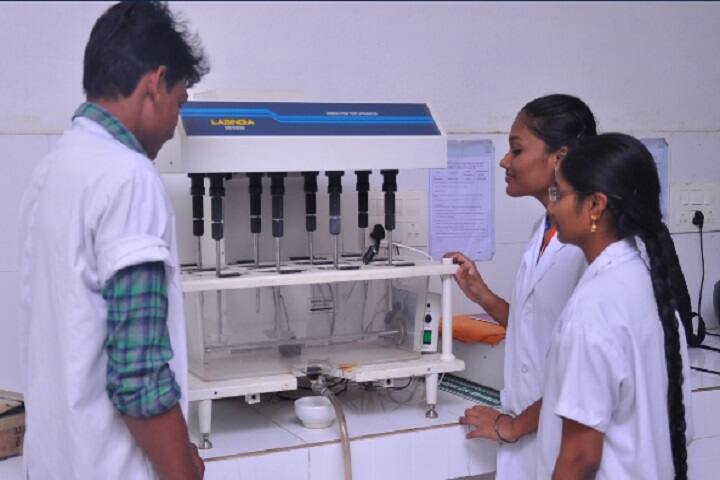 V V Institute of Pharmaceutical Sciences campus in Gudlavalleru, Andhra Pradesh, India — photo 5