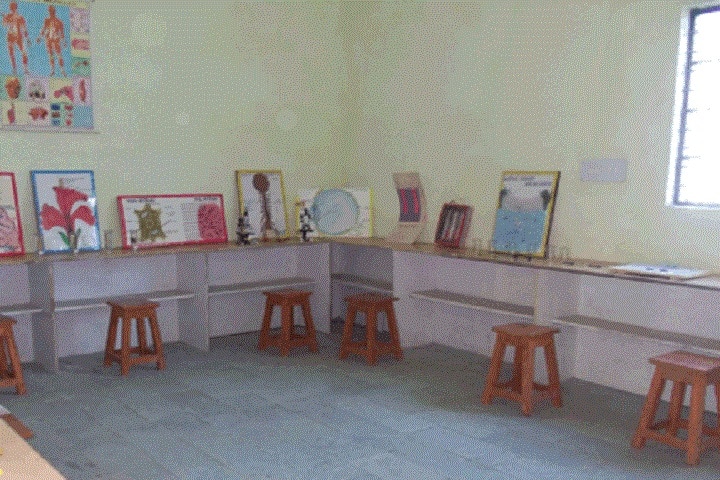 Shree Venkateshwar B Ed College campus in Sihoda, Madhya Pradesh, India — photo 1