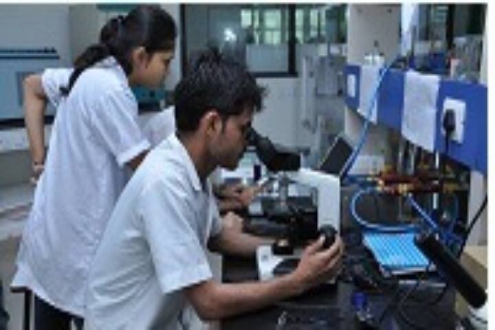 PD Patel Institute of Applied Sciences campus in Anand, Gujarat, India — photo 3