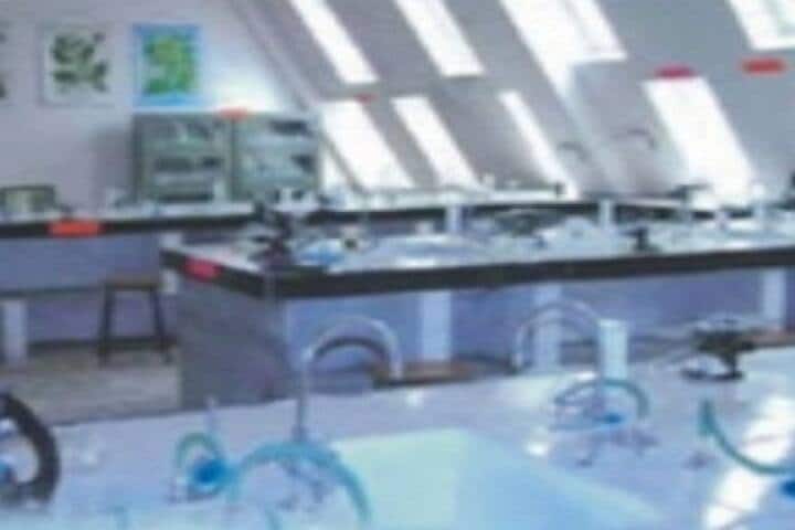Ujjain Institute of Pharmaceutical Sciences campus in Ujjain, Madhya Pradesh, India — photo 5