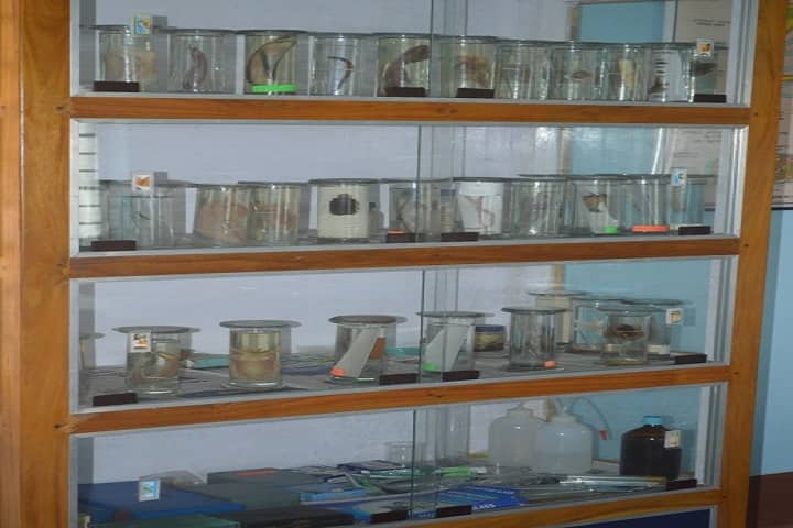Kaliachak Sultana College of Education campus in Kaliachak, West Bengal, India — photo 2