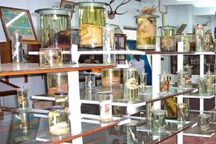 Annasaheb Awate Arts campus in Manchar, Maharashtra, India — photo 4