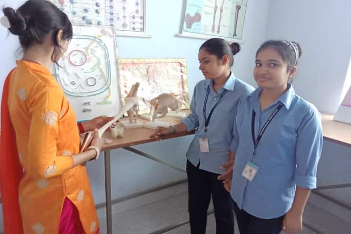 Jeevan Shree Nursing College campus in Jaipur, Rajasthan, India — photo 4