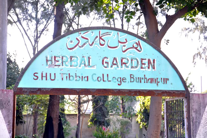 Saifia Hamidia Unani Medical College Saeeda Hospital and Research Centre campus in Burhanpur, Madhya Pradesh, India — photo 6