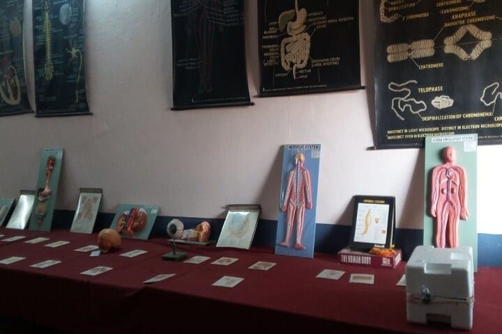 BVV Sanghas Basaveshwar College of Physical Education campus in Bagalkot, Karnataka, India — photo 4