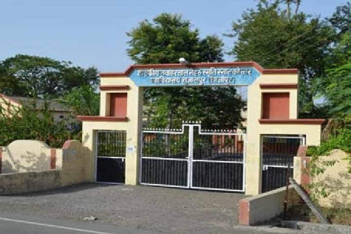 Government Nehru Post Graduate College campus in Agar, Madhya Pradesh, India — photo 1
