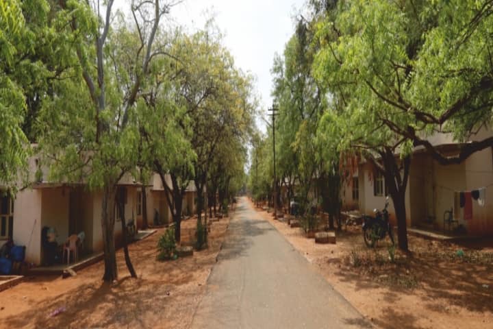 Madurai Kamaraj University campus in Madurai, Tamil Nadu, India — photo 2
