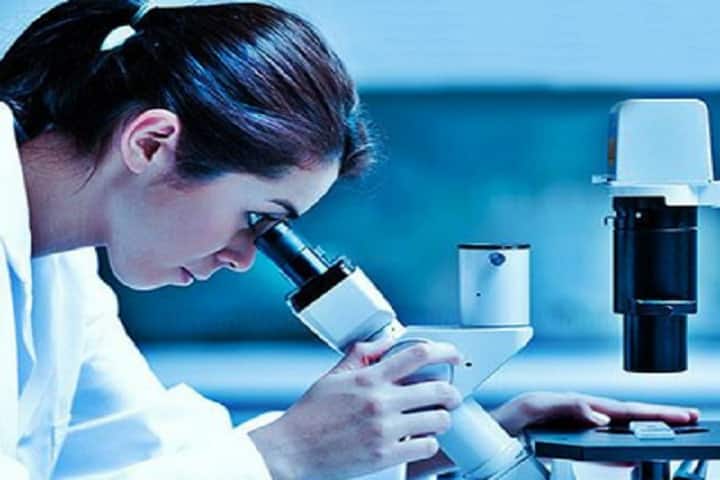 Sigma College of Pharmacy campus in Ludhiana, Punjab, India — photo 3