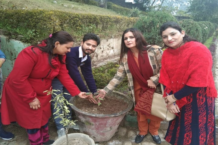 Divya College of Education campus in Jammu, Jammu and Kashmir, India — photo 5