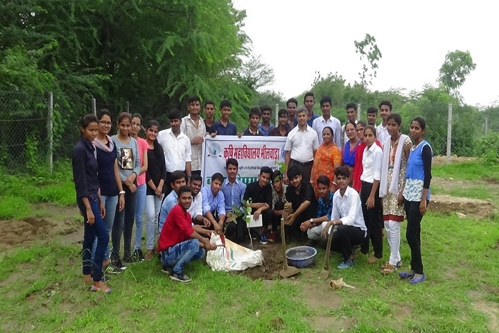 College of Agriculture campus in Bhilwara, Rajasthan, India — photo 5