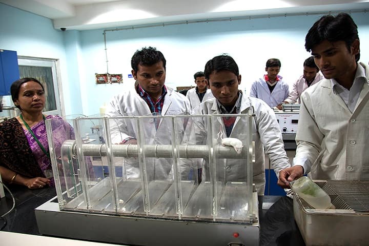 NIET Pharmacy Institute campus in Greater Noida, Uttar Pradesh, India — photo 1