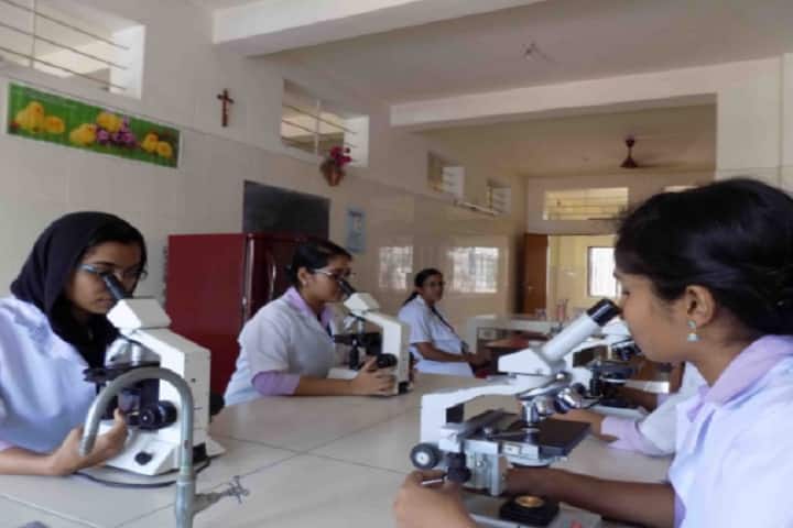 Holy Cross college of Allied Health Sciences campus in Kollam, Kerala, India — photo 3