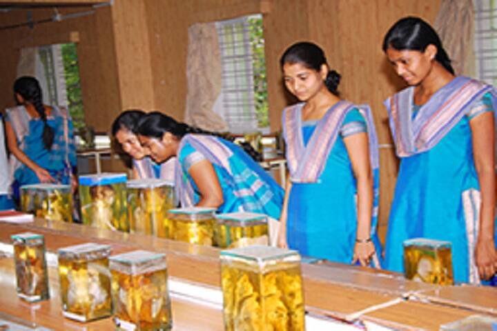 Kamineni Institute of Medical Sciences College of Nursing campus in Narketpally, Telangana, India — photo 6