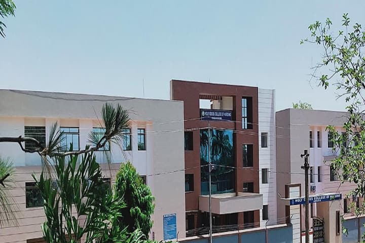 Holy Cross College of Nursing campus in Surguja, Chhattisgarh, India — photo 1