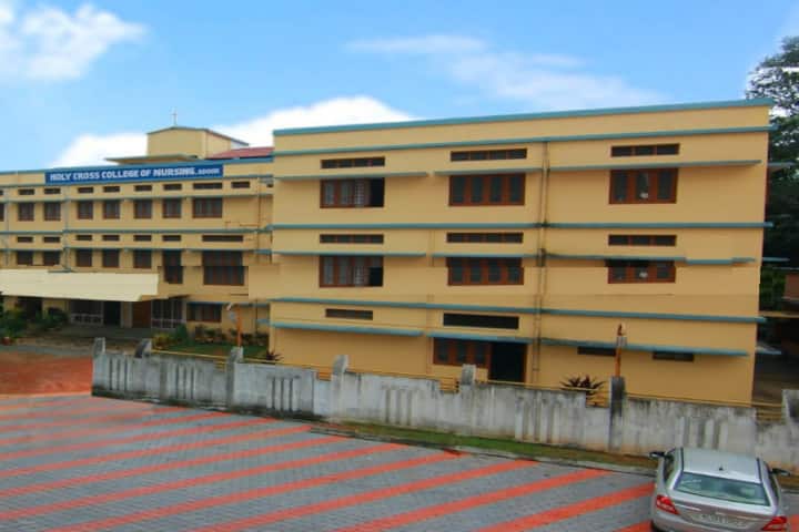 Holy Cross College of Nursing campus in Pathanamthitta, Kerala, India — photo 1