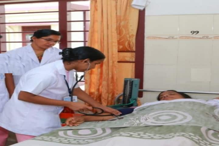 Holy Cross College of Nursing campus in Pathanamthitta, Kerala, India — photo 4