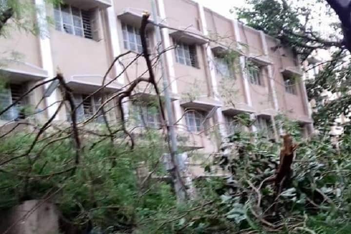 Government Yoga and Naturopathy Medical College campus in Chennai, Tamil Nadu, India — photo 2