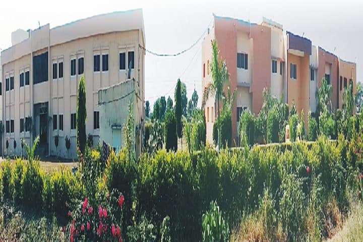 RBS Institute of Education campus in Neemuch, Madhya Pradesh, India — photo 2