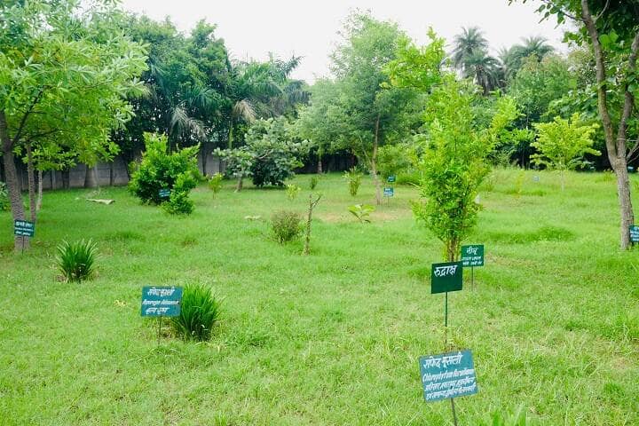 Charak Ayurvedic Medical College campus in Meerut, Uttar Pradesh, India — photo 5
