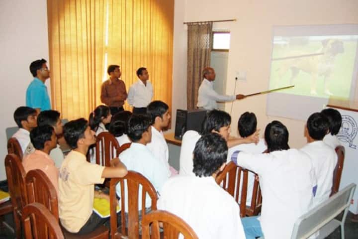 Mahatma Gandhi Veterinary College campus in Bharatpur, Rajasthan, India — photo 2