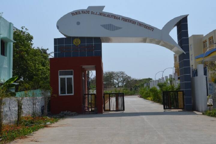 Institute of Fisheries Post Graduate Studies, Tamil Nadu Dr J Jayalalithaa Fisheries University, Vaniyanchavadi campus in Chennai, Tamil Nadu, India