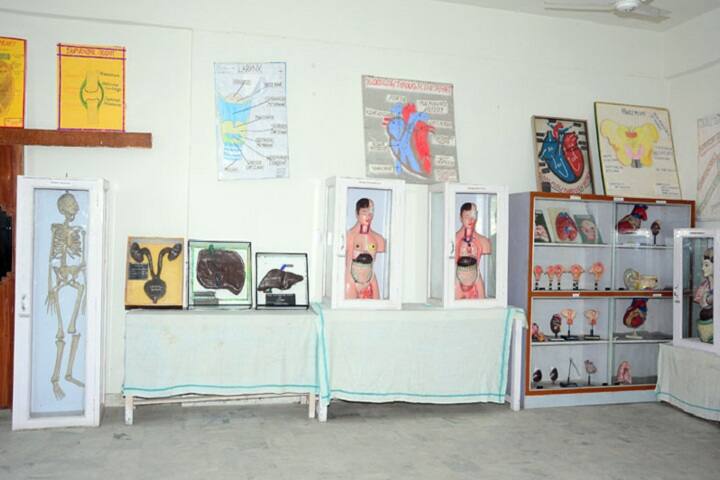 HKL College of Nursing campus in Ferozepur, Punjab, India — photo 4