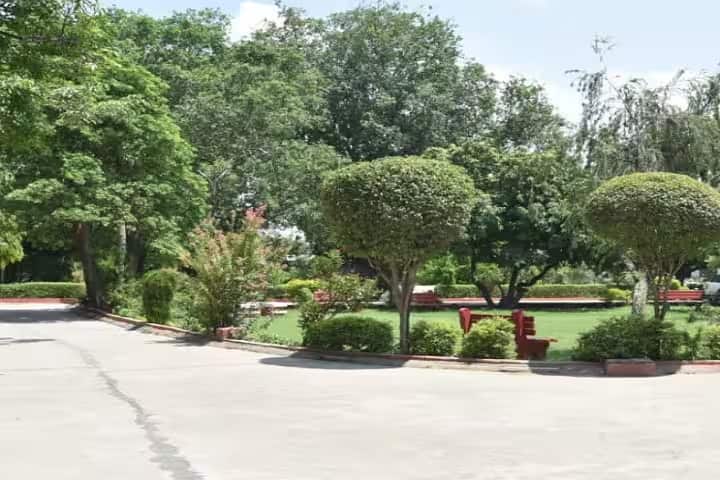 Sri Sai Ayurvedic Medical College and Hospital campus in Aligarh, Uttar Pradesh, India — photo 5