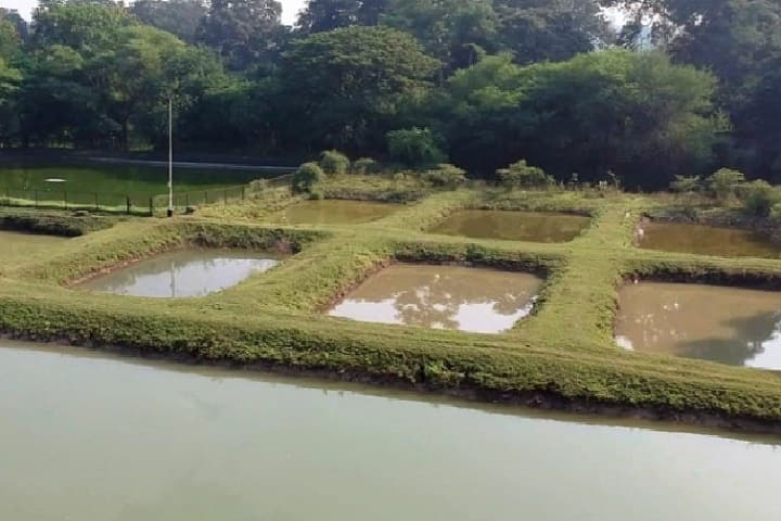 College of Fishery Sciences campus in Nagpur, Maharashtra, India — photo 5