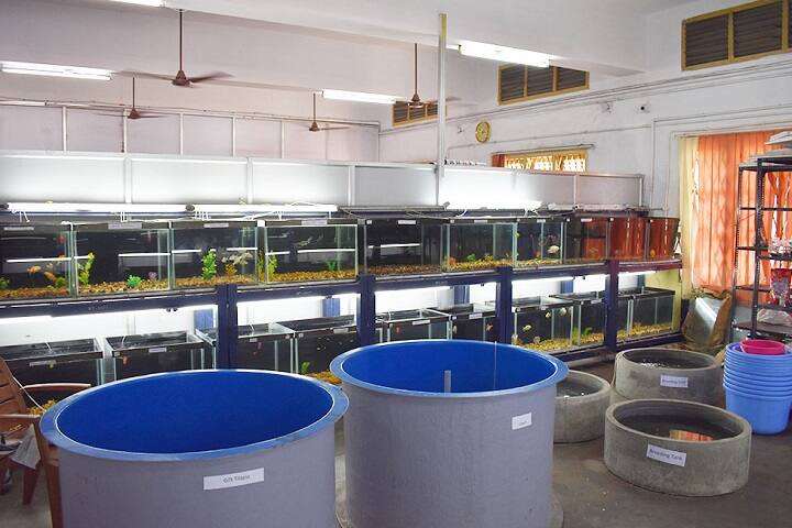 Dr MGR Fisheries College and Research Institute campus in Thalainayar, Tamil Nadu, India — photo 4