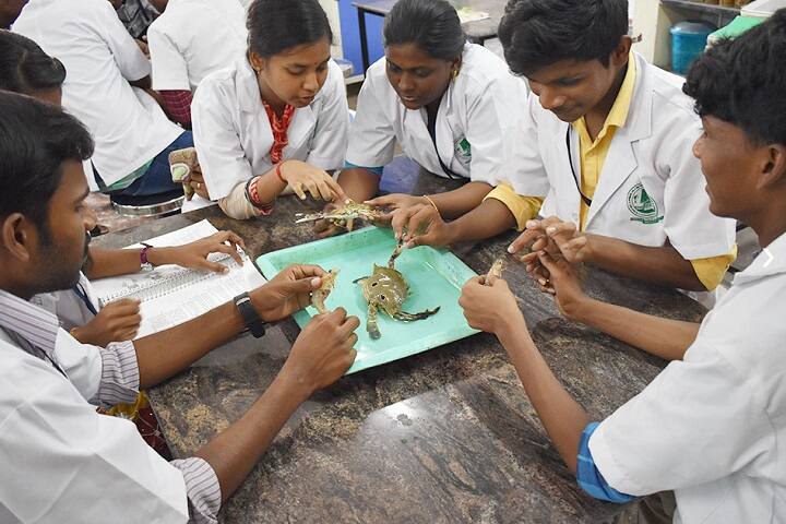 Dr MGR Fisheries College and Research Institute campus in Thalainayar, Tamil Nadu, India — photo 6
