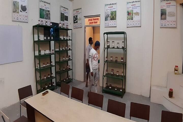 Shree Satya Ayurvedic Medical College and Hospital campus in Moradabad, Uttar Pradesh, India — photo 5
