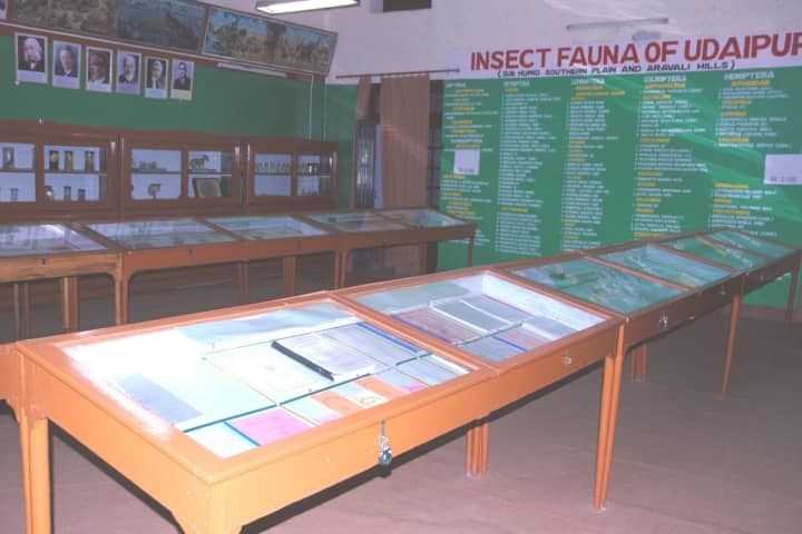 Rajasthan College of Agriculture campus in Udaipur, Rajasthan, India — photo 5