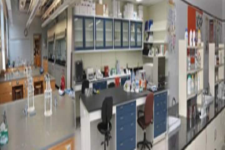 National Institute for Research in Tuberculosis campus in Chennai, Tamil Nadu, India — photo 3