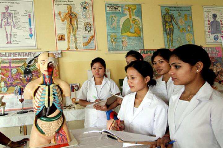 Madhukarrao Mahakalkar Nursing School campus in Nagpur, Maharashtra, India — photo 5