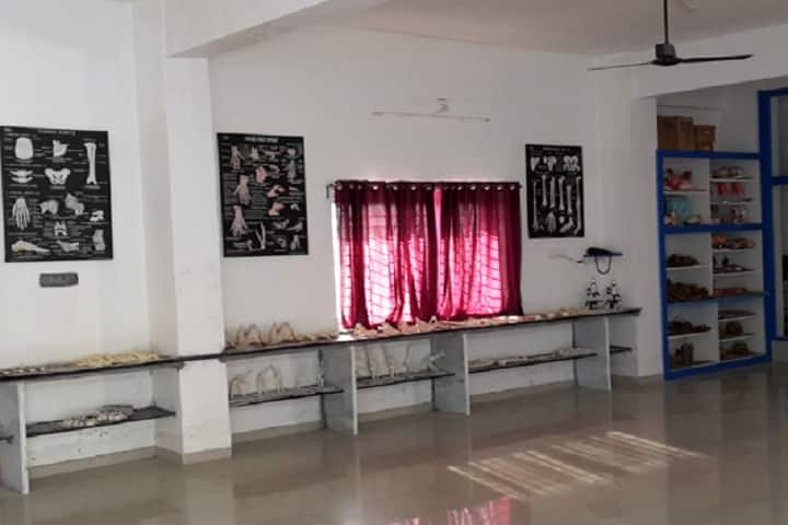 Vinayaka Institute of Nursing campus in Anand, Gujarat, India — photo 5