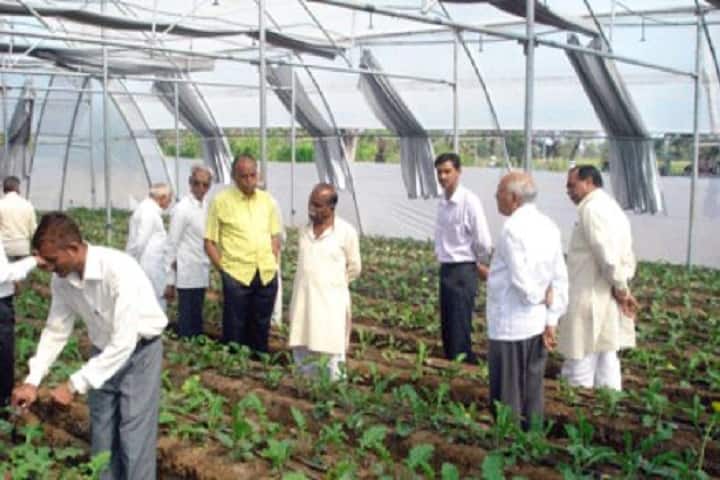 Shri Shivaji College of Horticulture campus in Amravati, Maharashtra, India — photo 5