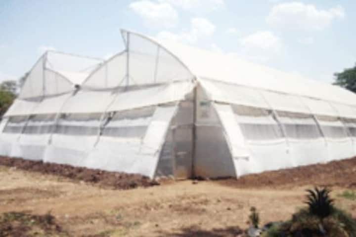 Shri Shivaji College of Horticulture campus in Amravati, Maharashtra, India — photo 6