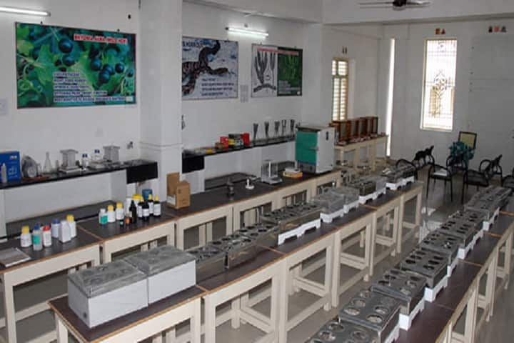 Sri Adi Siva Sadguru Alli Saheb Sivaaryula Homoeopathy Medical College campus in Guntakal, Andhra Pradesh, India — photo 5