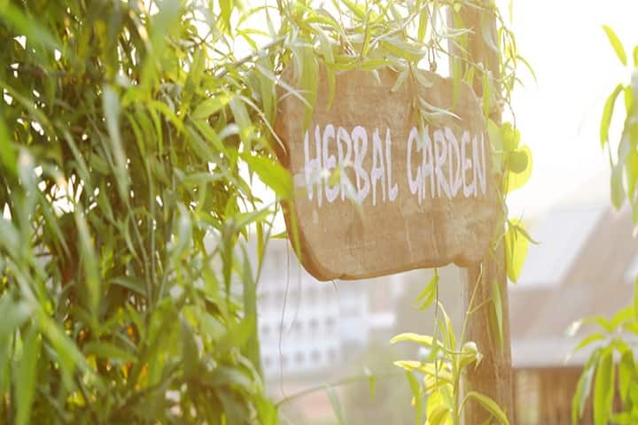Markaz Unani Medical College and Hospital campus in Puduppadi, Kerala, India — photo 5