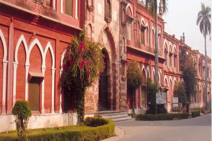 AMU Aligarh campus in Aligarh, Uttar Pradesh, India — photo 6