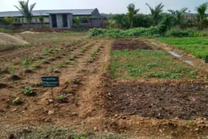 Kewalramji Harde College of Agriculture campus in Chamorshi, Maharashtra, India — photo 5