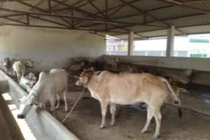 Kewalramji Harde College of Agriculture campus in Chamorshi, Maharashtra, India — photo 6
