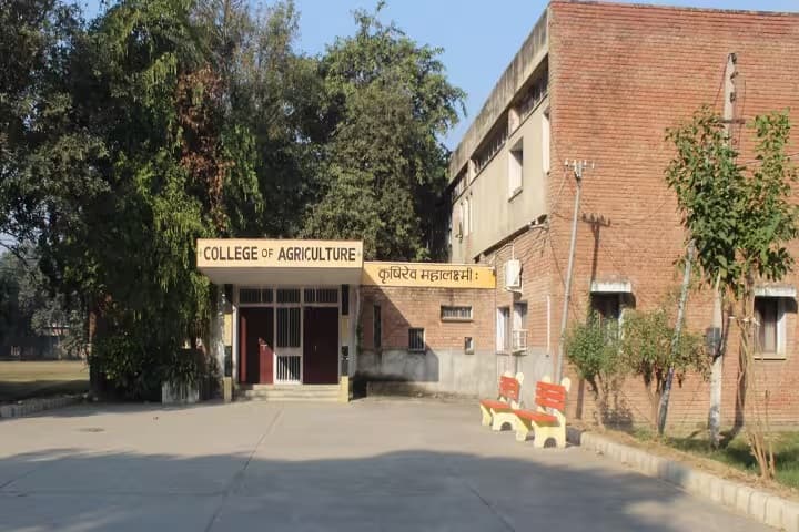 College of Agriculture campus in Kaithal, Haryana, India — photo 3