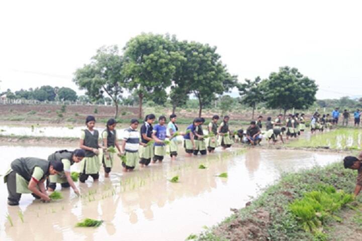 Nalanda College of Agriculture campus in Tiruchirappalli, Tamil Nadu, India — photo 5