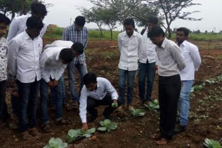 College of Agriculture campus in Kalamnuri, Maharashtra, India — photo 6