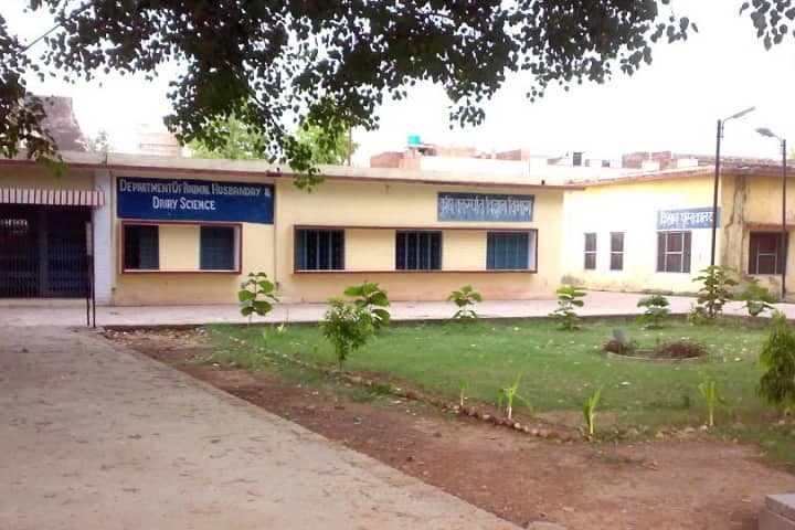 Zila Parishad Agriculture College campus in Banda, Uttar Pradesh, India — photo 1